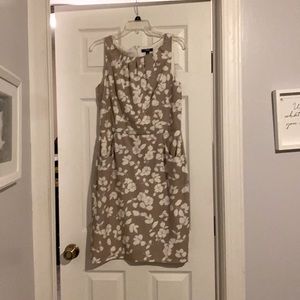 Chaps dress size 12